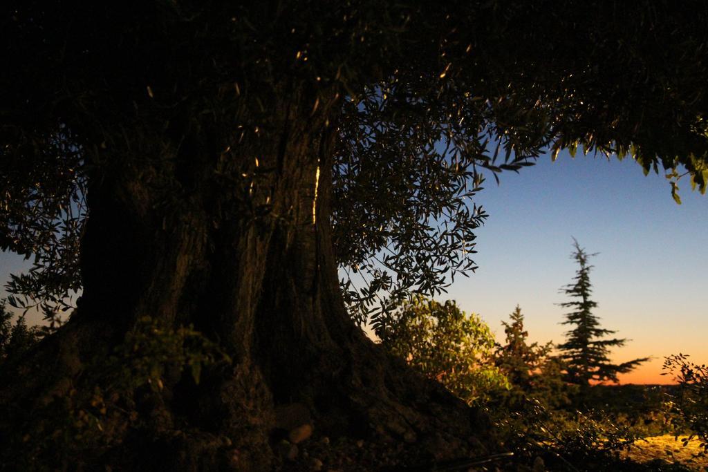 La Campagne De Petre Hotel Entrevennes Bagian luar foto