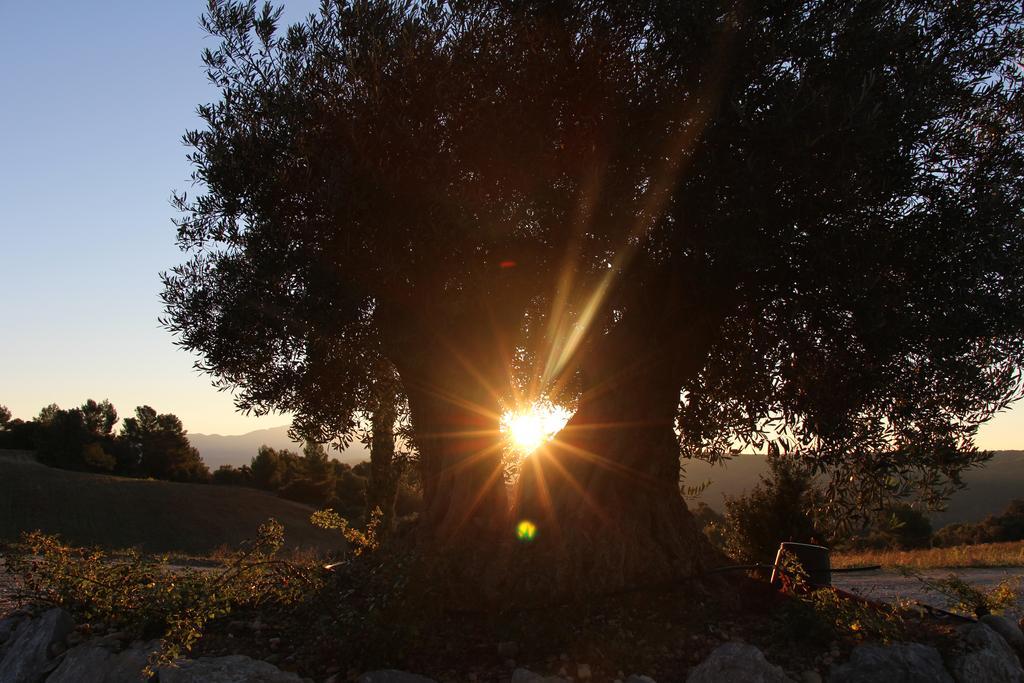 La Campagne De Petre Hotel Entrevennes Bagian luar foto